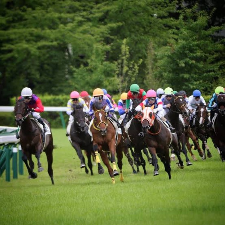 競馬のあれこれ